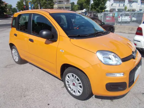 Annonce FIAT PANDA Essence 2019 d'occasion 