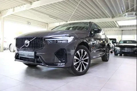 Annonce VOLVO XC60 Diesel 2023 d'occasion 