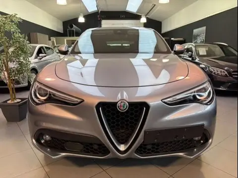 Used ALFA ROMEO STELVIO Diesel 2019 Ad 