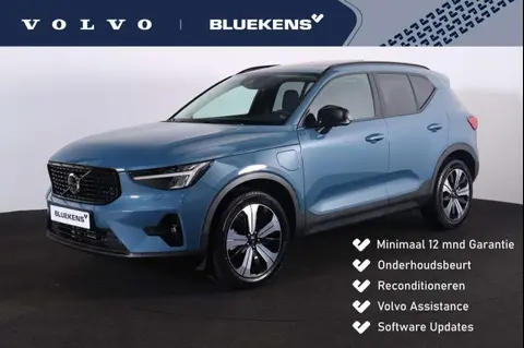 Used VOLVO XC40 Hybrid 2023 Ad 