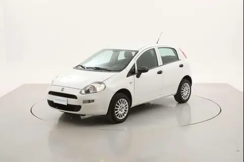 Used FIAT PUNTO  2018 Ad 