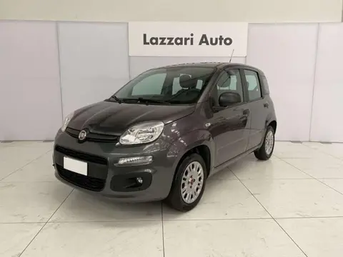 Annonce FIAT PANDA Essence 2018 d'occasion 