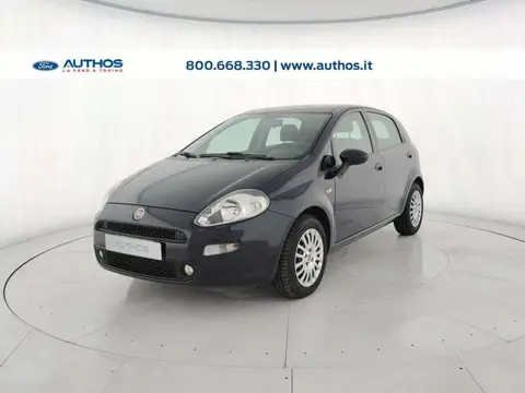 Annonce FIAT PUNTO Diesel 2016 d'occasion 