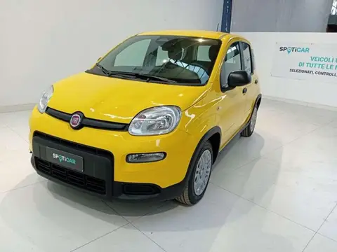 Annonce FIAT PANDA Hybride 2024 d'occasion 