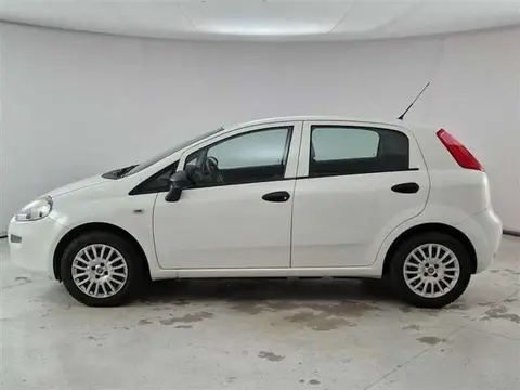 Used FIAT PUNTO Diesel 2018 Ad 