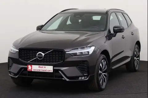 Used VOLVO XC60 Petrol 2023 Ad 