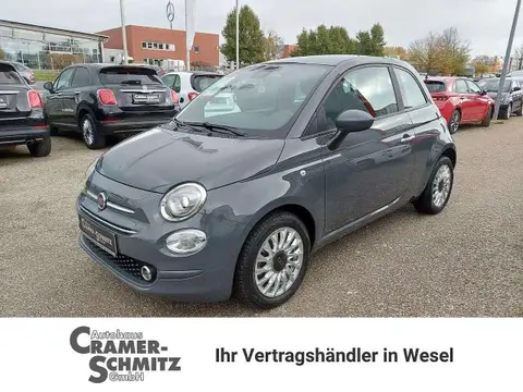 Used FIAT 500 Petrol 2020 Ad 