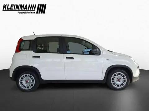 Annonce FIAT PANDA Essence 2023 d'occasion 