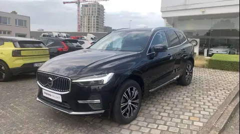 Annonce VOLVO XC60 Hybride 2022 d'occasion Belgique