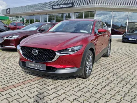 Annonce MAZDA CX-30 Hybride 2024 d'occasion 