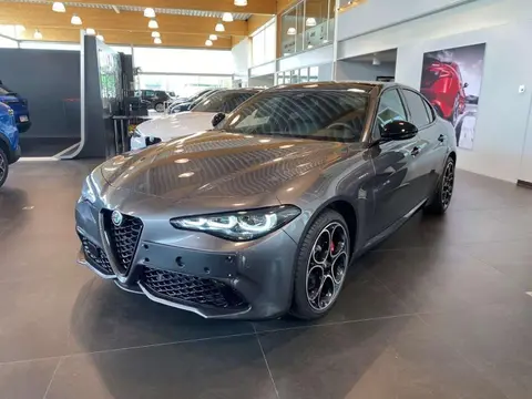 Used ALFA ROMEO GIULIA Petrol 2023 Ad 