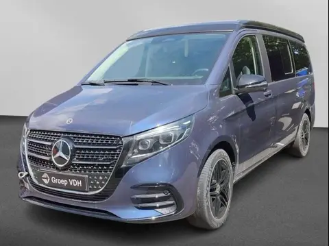 Annonce MERCEDES-BENZ MARCO POLO Diesel 2024 d'occasion 