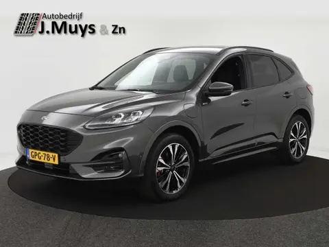 Used FORD KUGA Hybrid 2021 Ad 