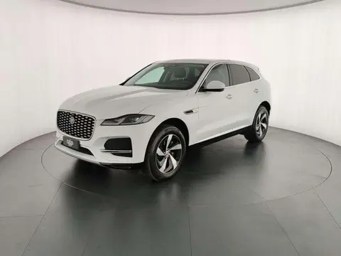 Annonce JAGUAR F-PACE Hybride 2021 d'occasion 