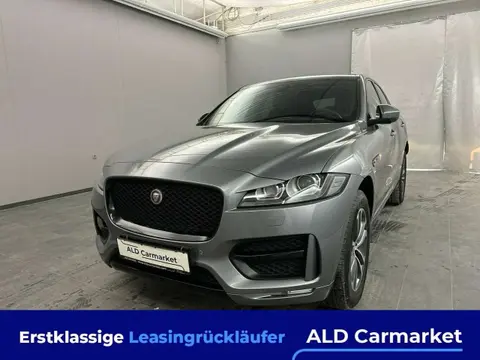 Used JAGUAR F-PACE Diesel 2019 Ad 