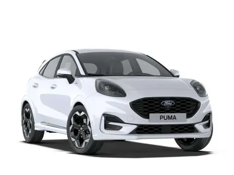 Used FORD PUMA Hybrid 2024 Ad 