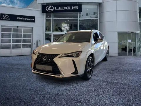 Annonce LEXUS UX Hybride 2024 d'occasion 