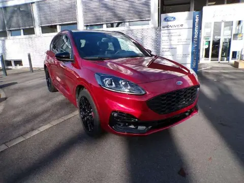 Used FORD KUGA Hybrid 2023 Ad 