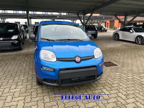 Annonce FIAT PANDA Hybride 2024 d'occasion 