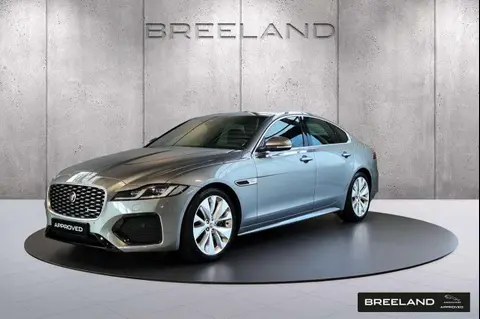 Annonce JAGUAR XF Essence 2023 d'occasion 