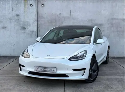 Used TESLA MODEL 3 Electric 2019 Ad 