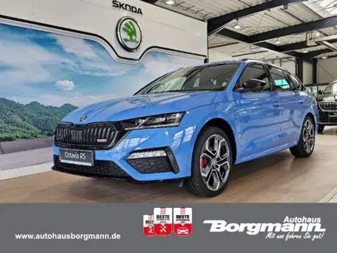 Annonce SKODA OCTAVIA Diesel 2024 d'occasion 