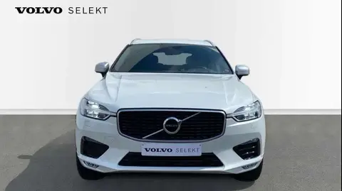 Used VOLVO XC60 Petrol 2019 Ad 