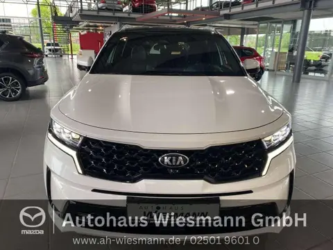 Used KIA SORENTO Petrol 2021 Ad 