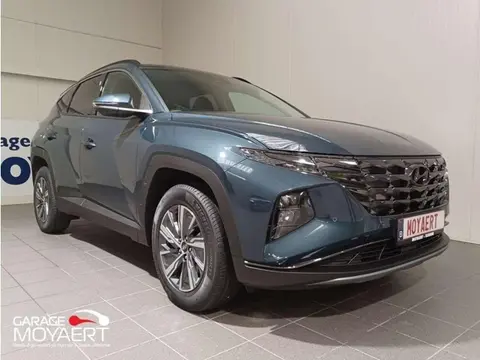 Annonce HYUNDAI TUCSON Hybride 2024 d'occasion 