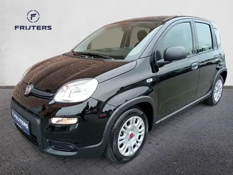 Annonce FIAT PANDA Hybride 2024 d'occasion 