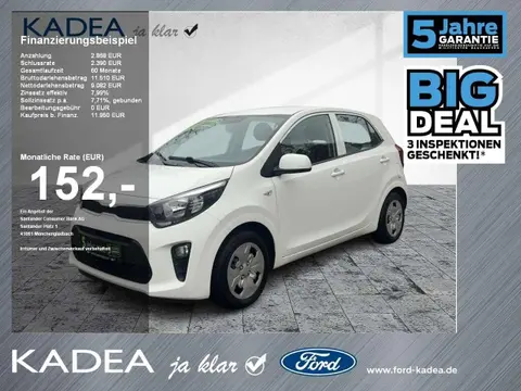 Annonce KIA PICANTO Essence 2019 d'occasion 