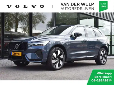 Used VOLVO XC60 Hybrid 2024 Ad 