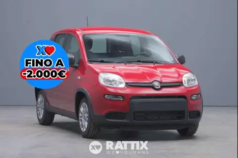 Used FIAT PANDA Hybrid 2024 Ad 