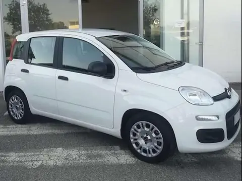 Annonce FIAT PANDA Hybride 2021 d'occasion 