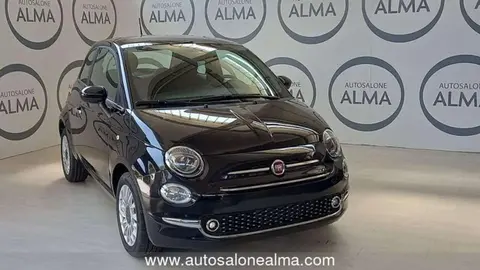 Used FIAT 500 Hybrid 2024 Ad 