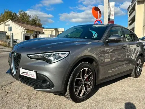 Used ALFA ROMEO STELVIO Diesel 2019 Ad 