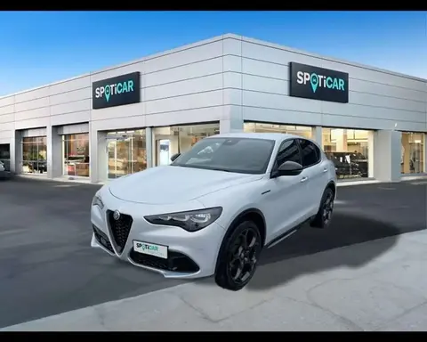 Annonce ALFA ROMEO STELVIO Diesel 2024 d'occasion 