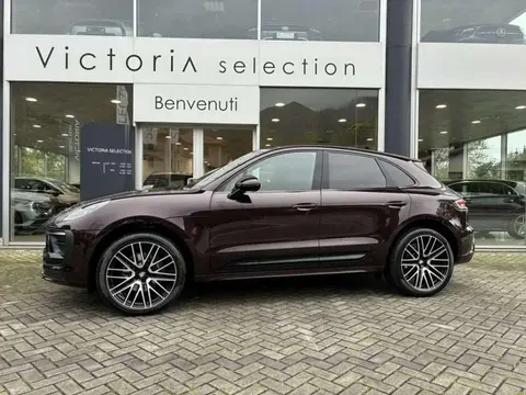 Used PORSCHE MACAN Petrol 2024 Ad 