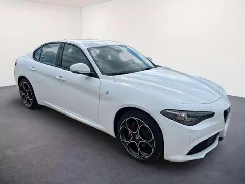 Used ALFA ROMEO GIULIA Petrol 2022 Ad 