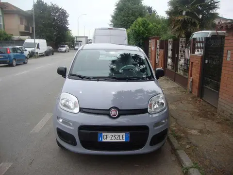 Used FIAT PANDA Petrol 2021 Ad 