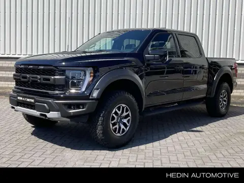 Used FORD F150 Petrol 2024 Ad 