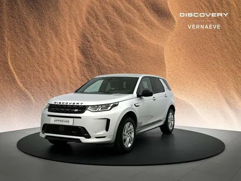 Used LAND ROVER DISCOVERY Hybrid 2023 Ad 