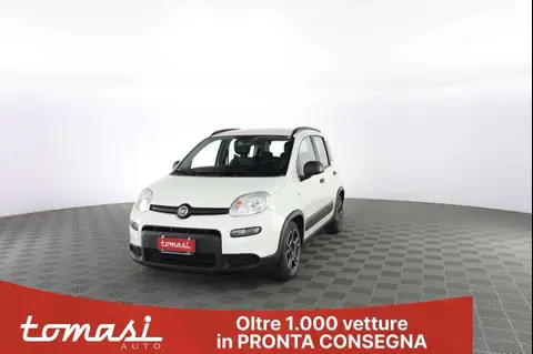 Annonce FIAT PANDA Hybride 2021 d'occasion 