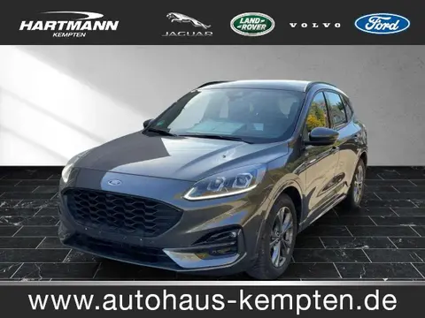 Used FORD KUGA Diesel 2023 Ad 