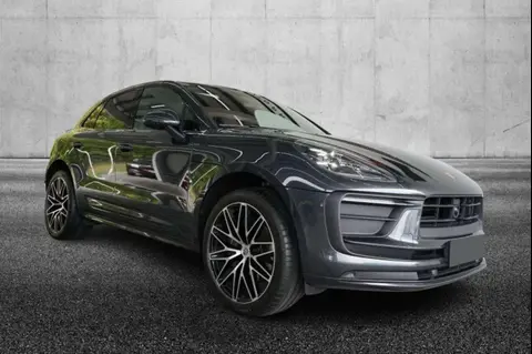 Used PORSCHE MACAN Petrol 2023 Ad 