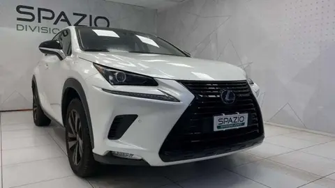 Used LEXUS NX Hybrid 2020 Ad 