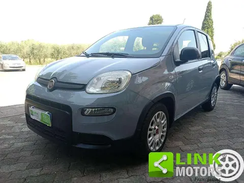 Annonce FIAT PANDA Hybride 2022 d'occasion 