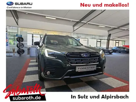 Used SUBARU FORESTER Petrol 2024 Ad 