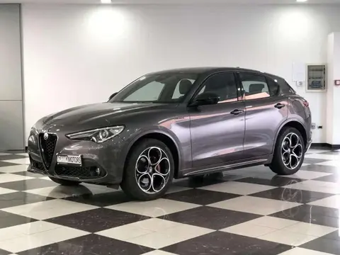 Annonce ALFA ROMEO STELVIO Diesel 2020 d'occasion 