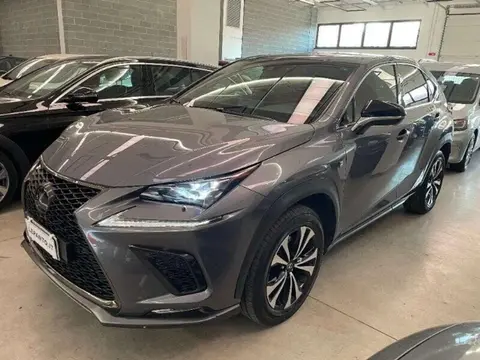 Annonce LEXUS NX Hybride 2018 d'occasion 